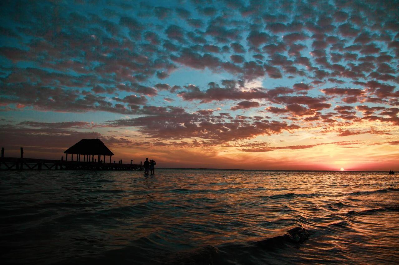 Che Holbox Hostel & Bar Adults Only Dış mekan fotoğraf
